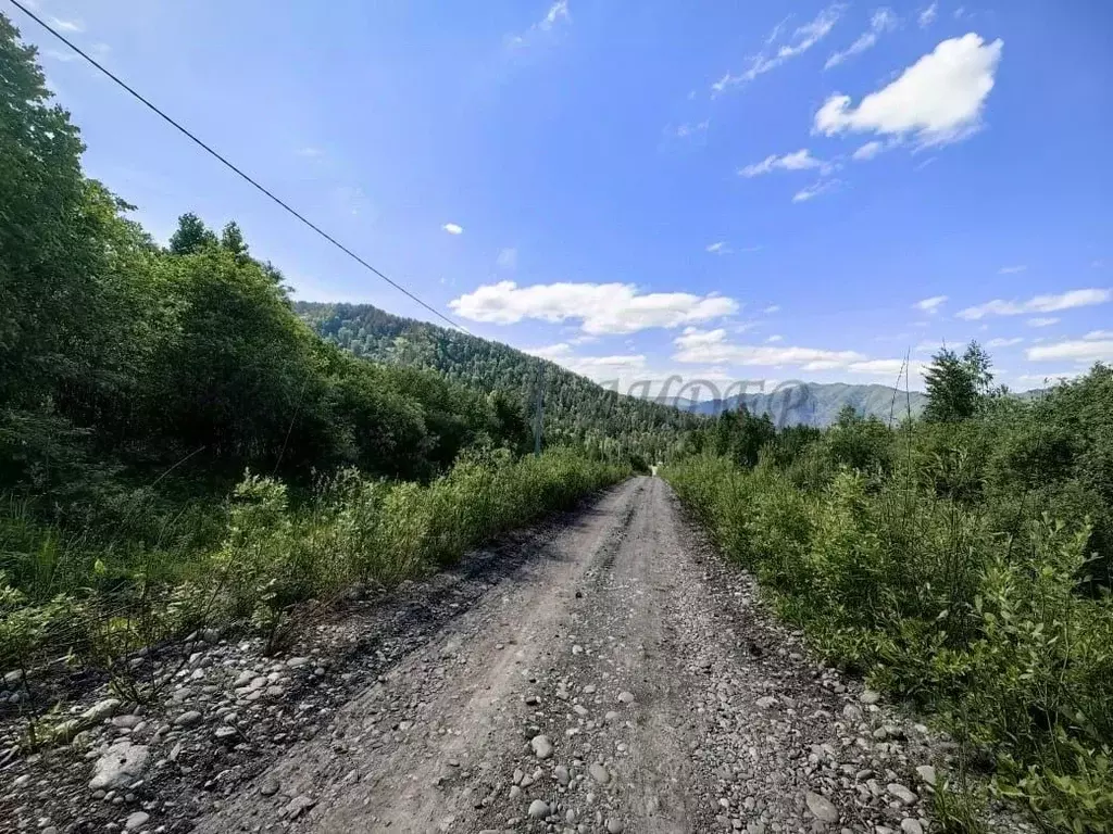 Участок в Алтай, Майминский район, с. Озерное ул. Центральная (10.0 ... - Фото 1