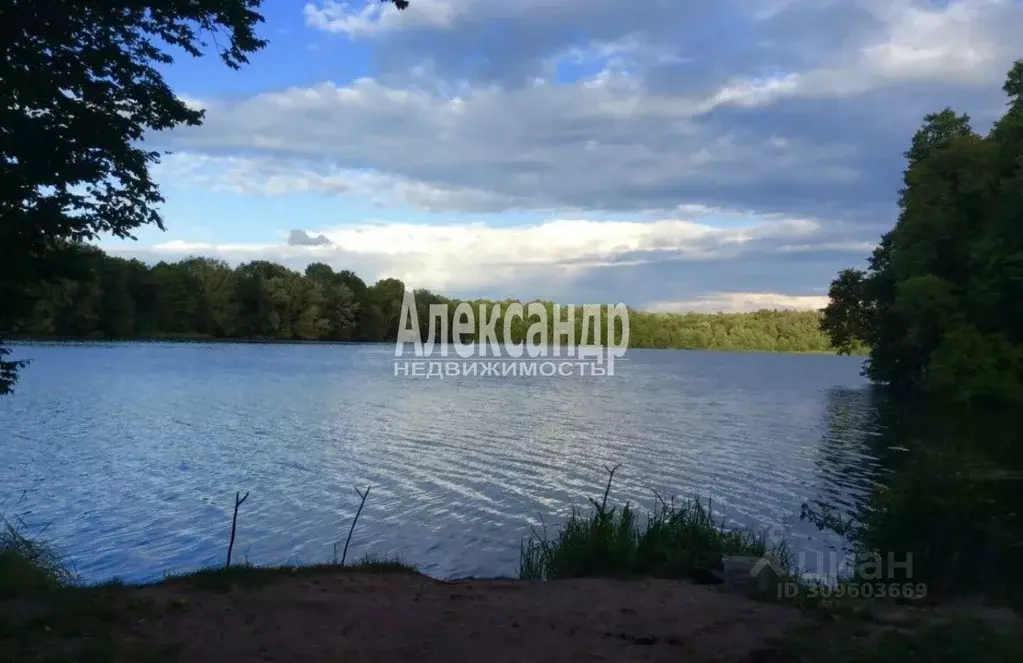 Участок в Ленинградская область, Приозерский район, Красноозерное ... - Фото 0