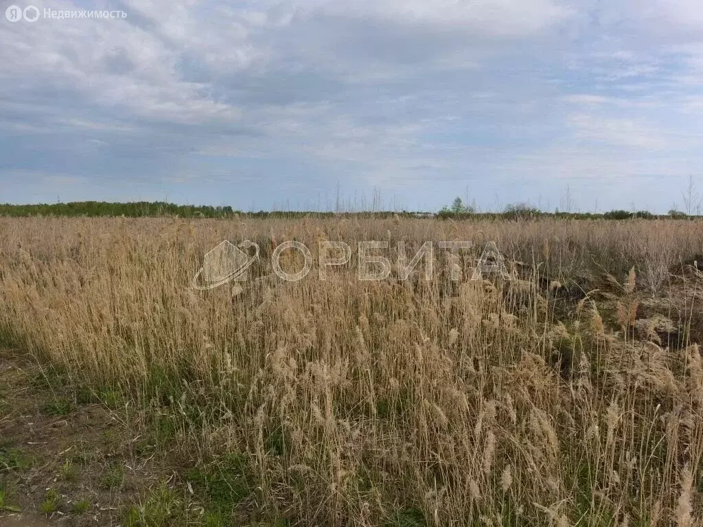 Участок в Тюмень, территория СОСН Берёзка-3, 16-я улица (10 м) - Фото 1