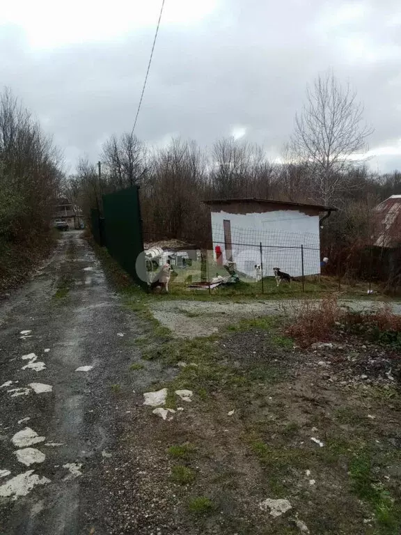 Участок в Краснодарский край, Сочи, жилой район Хоста (5 м) - Фото 1