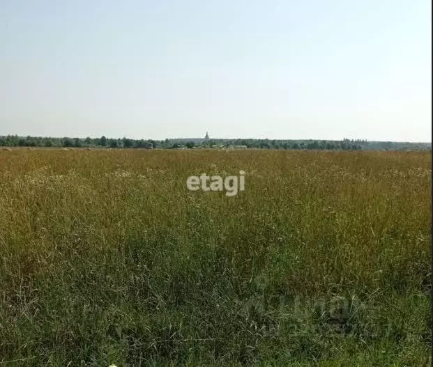 Участок в Ленинградская область, Кировский район, Мгинское городское ... - Фото 1