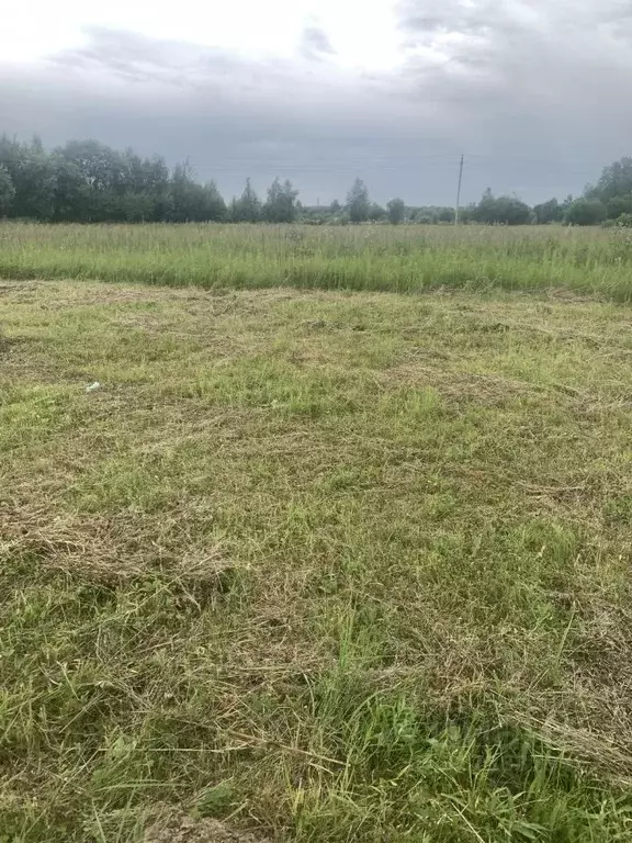 Участок в Калужская область, Перемышльский муниципальный округ, ... - Фото 2