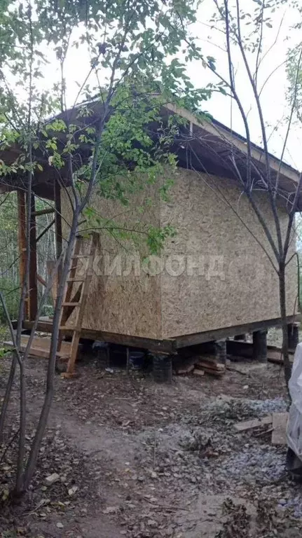Участок 10 сот. (СНТ, ДНП) - Фото 1