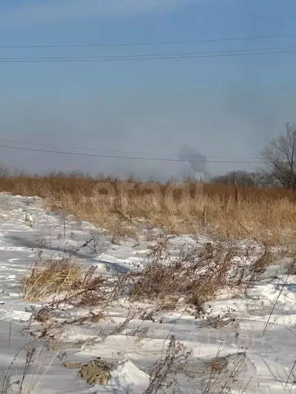 Участок в Амурская область, Благовещенск Связь СТ,  (6.6 сот.) - Фото 0