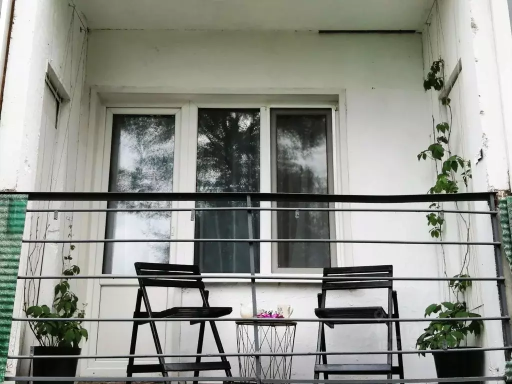 1-к кв. Хакасия, Абакан ул. Кати Перекрещенко, 2 (20.0 м) - Фото 2