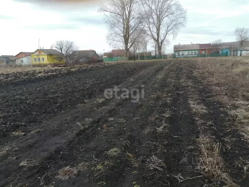 Участок в Мордовия, Саранск городской округ, с. Напольная Тавла ул. ... - Фото 0