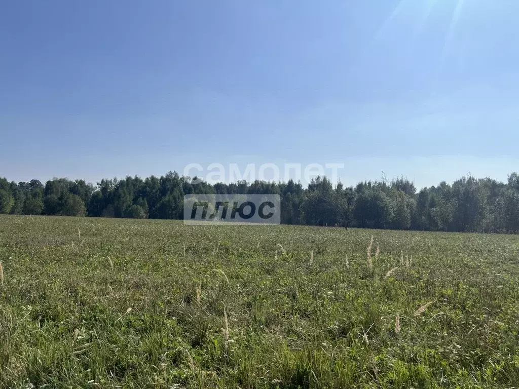 Участок в Московская область, Щелково  (9.2 сот.) - Фото 0