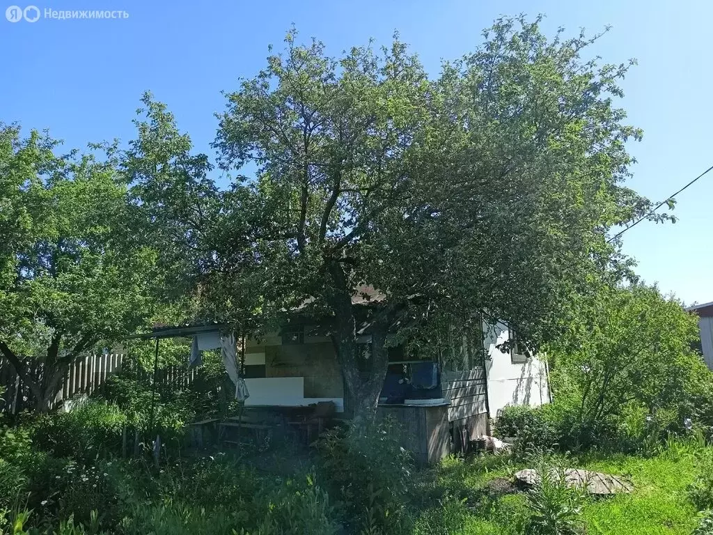 Дом в Саратов, СНТ Берёзовая Роща (25 м) - Фото 0