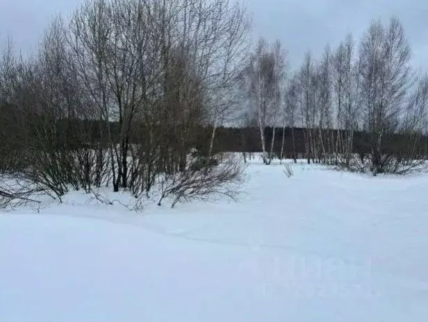 Участок в Московская область, Коломна городской округ, с. Сосновка  ... - Фото 1