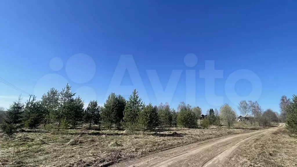 Участок 10 сот. (ИЖС) - Фото 1