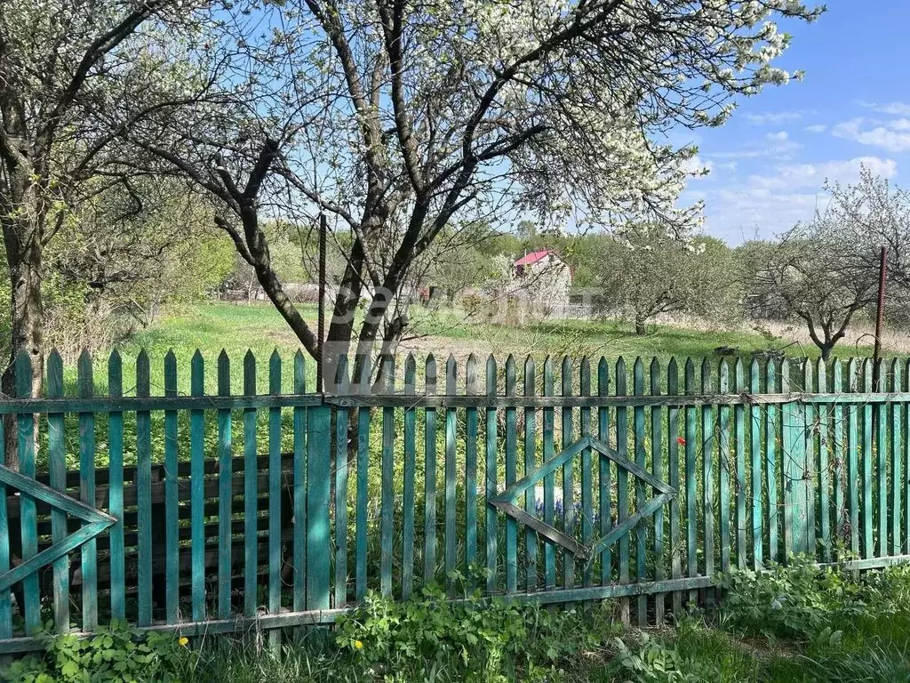 Участок в Курская область, Курск Цветово СТ, 124 (10.0 сот.) - Фото 1