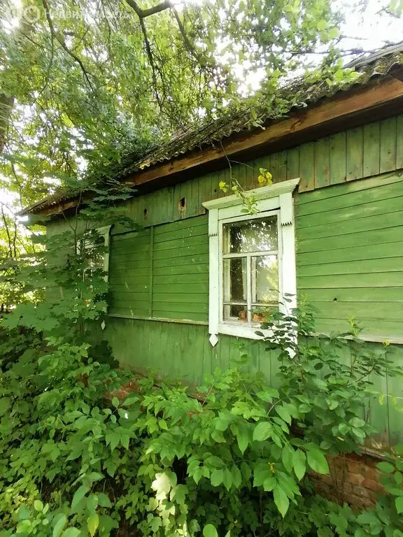 Дом в деревня Николаевка, Лесная улица (50 м) - Фото 1