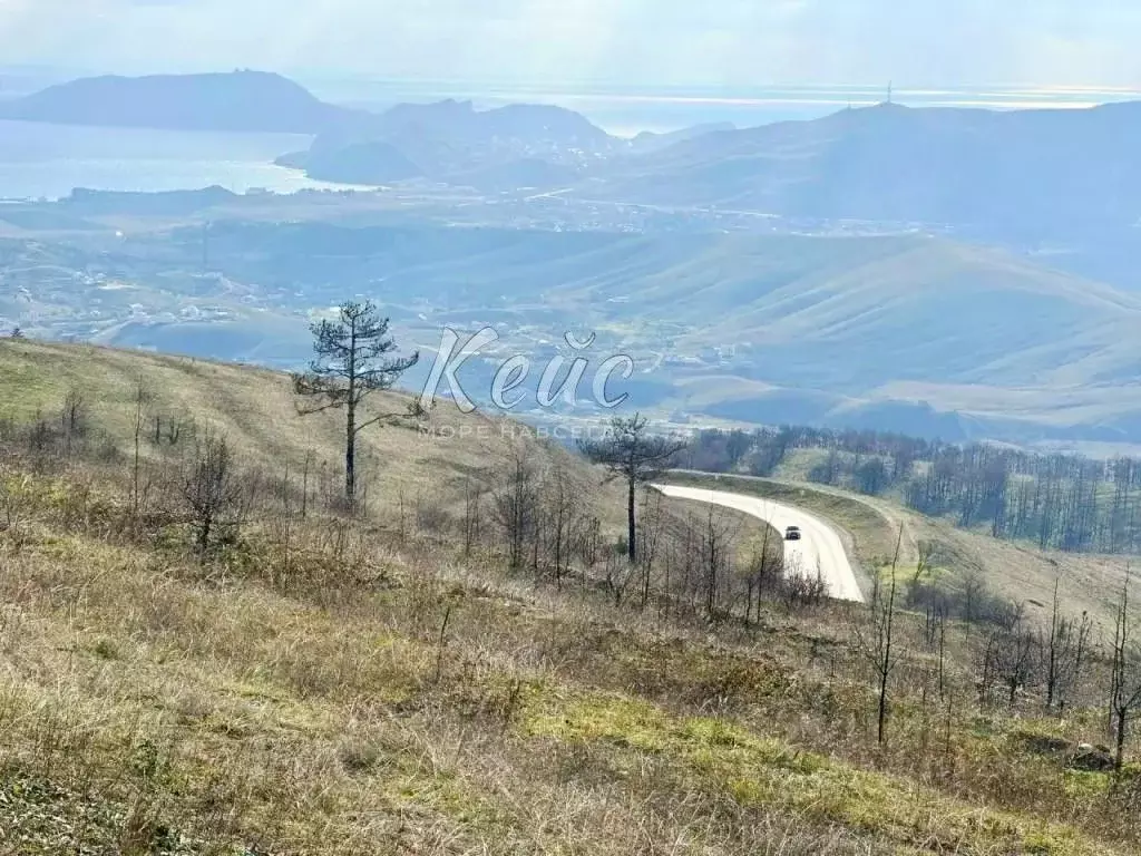 Участок в Крым, Феодосия муниципальный округ, Рассвет-2 СПК  (12.0 ... - Фото 2