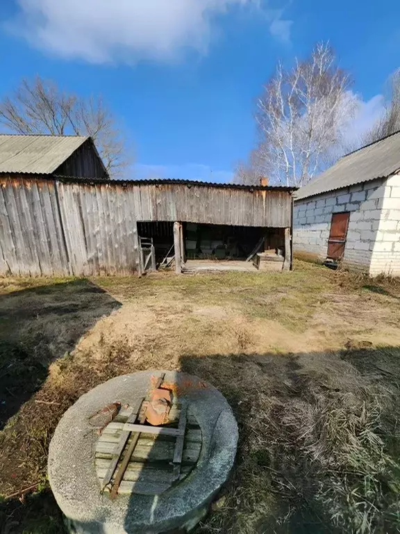 Дом в Воронежская область, Бобровский район, Слободское с/пос, с. ... - Фото 2