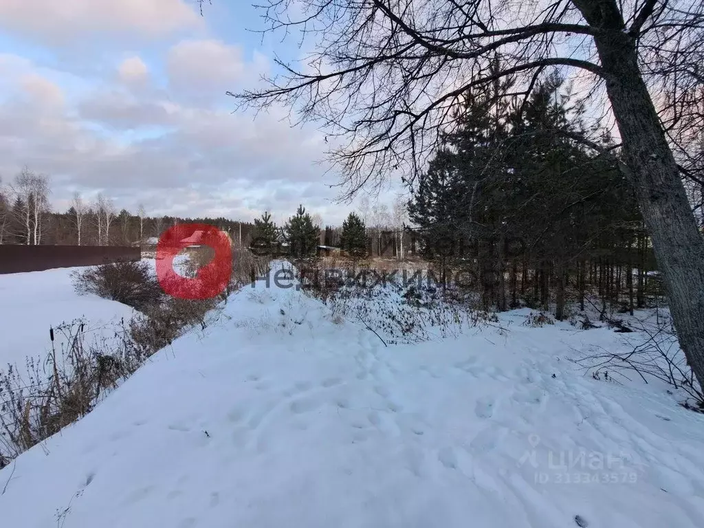 Участок в Тюменская область, Нижнетавдинский район, с. Тюнево  (17.5 ... - Фото 0