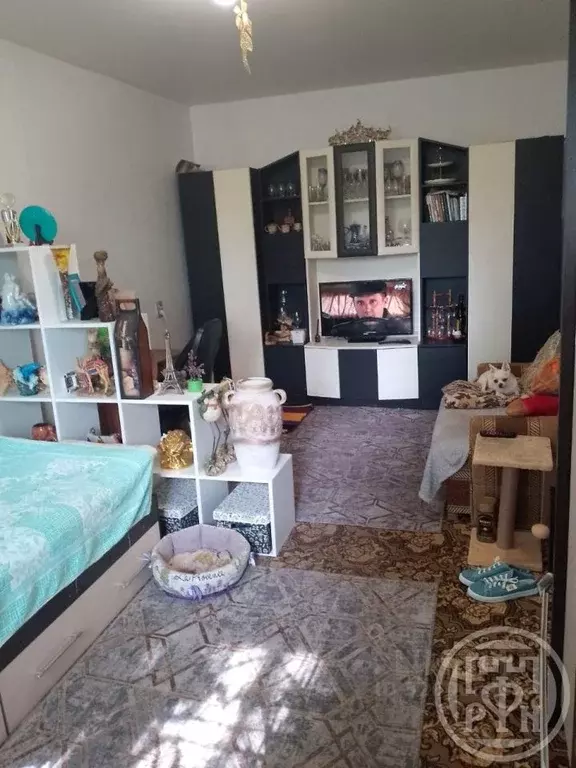 1-к кв. Санкт-Петербург, Санкт-Петербург, Красное Село Нарвская ул., ... - Фото 2