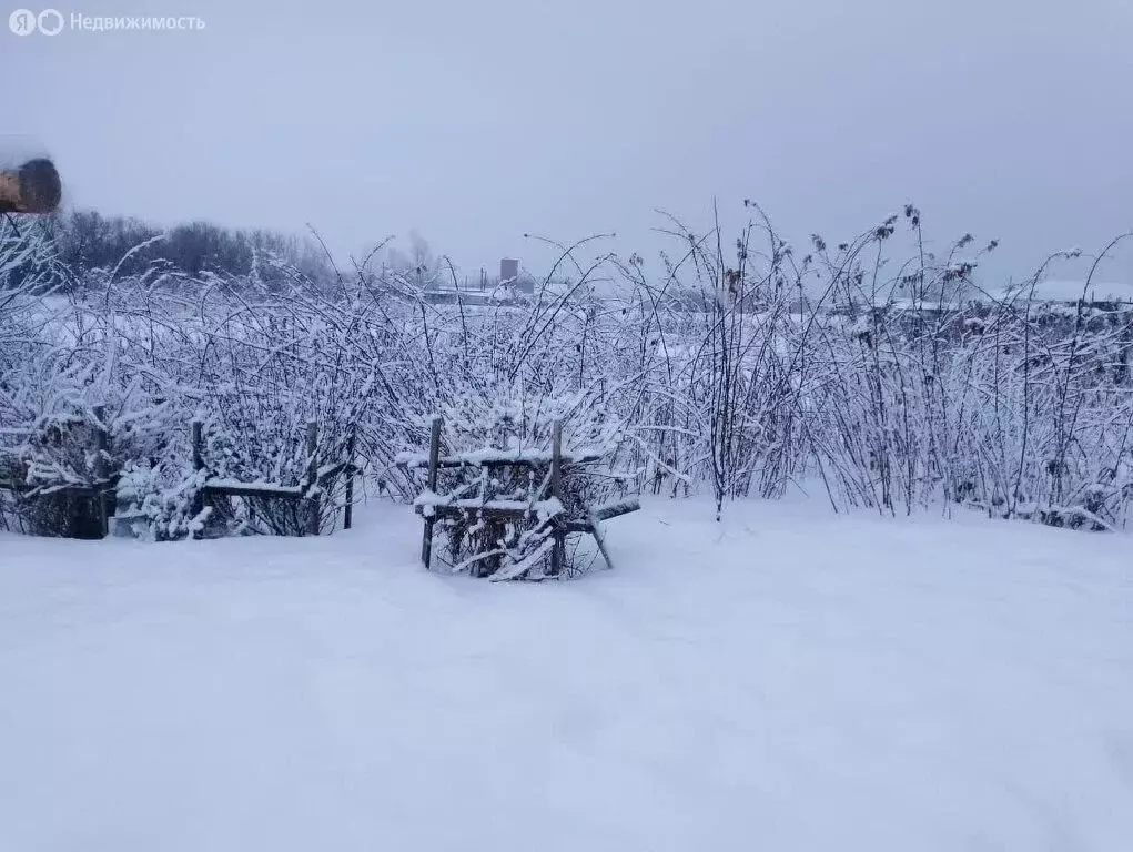 Дом в Шульгин Лог, Октябрьская улица (29.7 м) - Фото 2