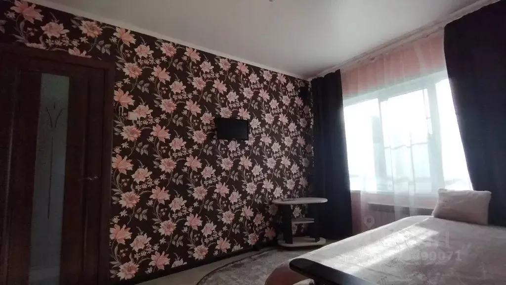 1-к кв. Воронежская область, Борисоглебск ул. Пешкова, 44 (24.0 м) - Фото 1