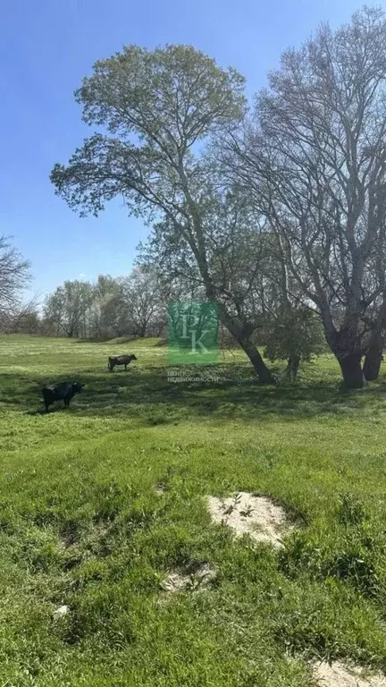 Участок в Севастополь с. Вишневое, ул. Заречная (7.4 сот.) - Фото 2