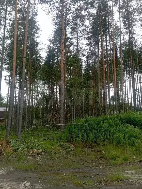 Участок 10 сот. (ИЖС) - Фото 0