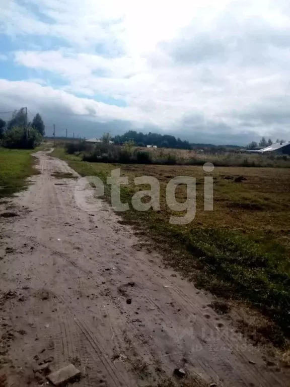 Участок в Брянская область, Брянский район, Мичуринское с/пос, д. ... - Фото 1