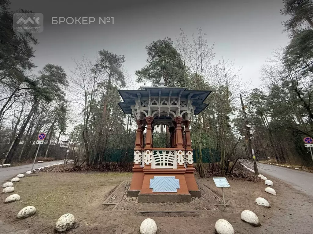 Участок в Санкт-Петербург, Санкт-Петербург, Сестрорецк Пляжная ул., 8 ... - Фото 2