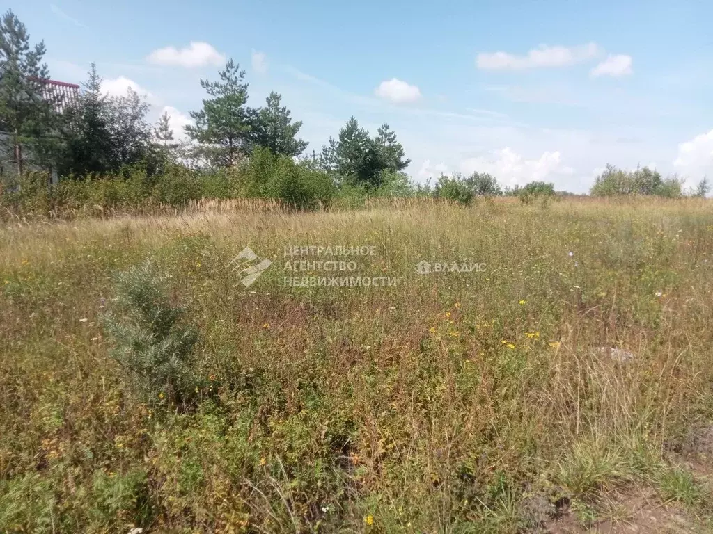 Участок в Рязанская область, Рязанский район, Подвязьевское с/пос, д. ... - Фото 1