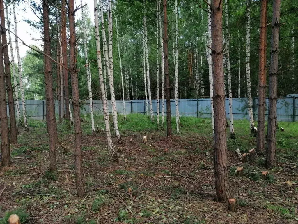 Участок в Свердловская область, Белоярский муниципальный округ, Мешков ... - Фото 1