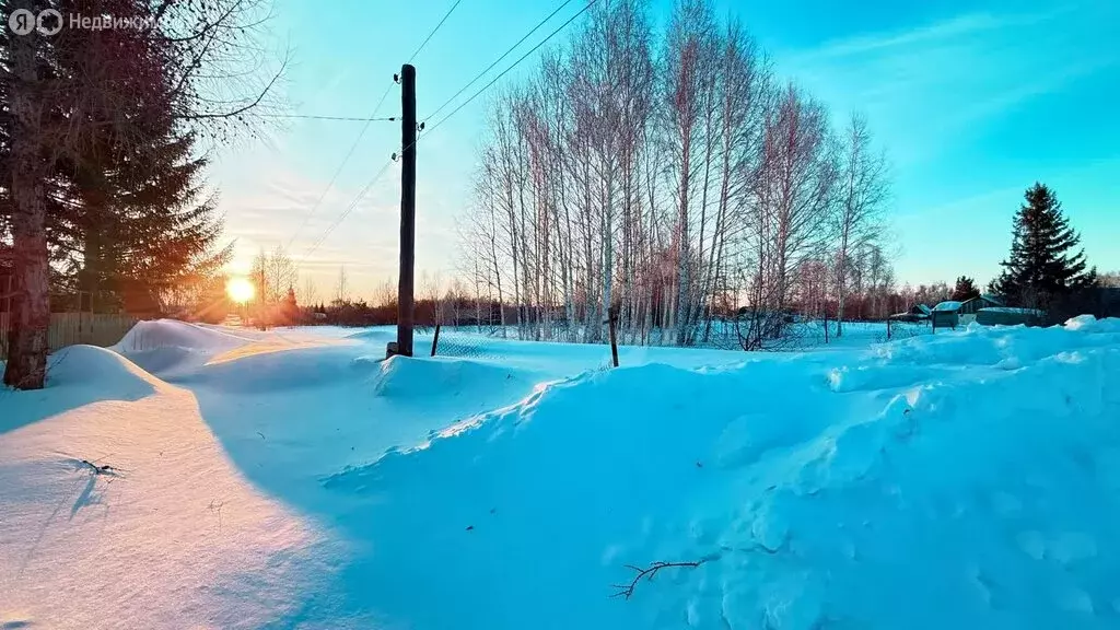 Участок в Новосибирская область, Коченёвский муниципальный район, НСТ ... - Фото 1
