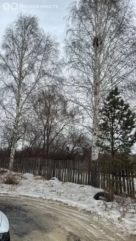 Участок в Черногорск, садоводческое некоммерческое товарищество район ... - Фото 1