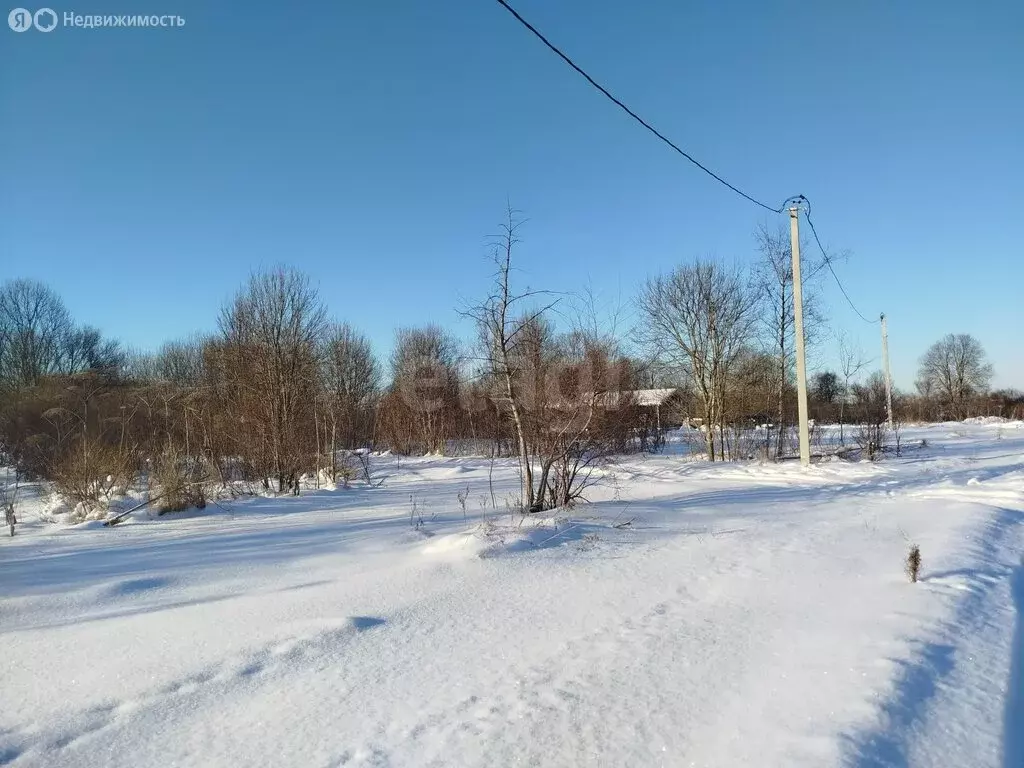 Участок в Остров, улица Энтузиастов (1440 м) - Фото 2