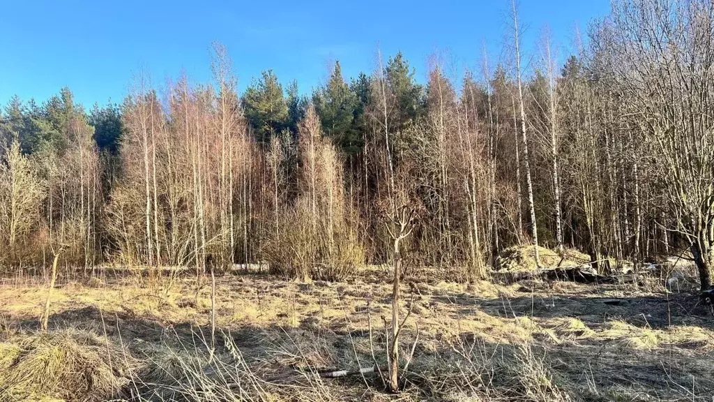 Участок в Ленинградская область, Всеволожский район, Колтушское ... - Фото 1