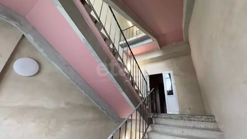 Помещение свободного назначения в Воронежская область, Воронеж ул. ... - Фото 1