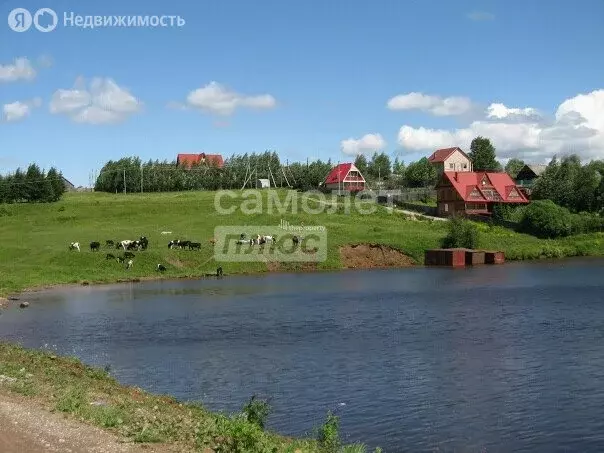 Участок в Пермский муниципальный округ, деревня Заозерье ... - Фото 1