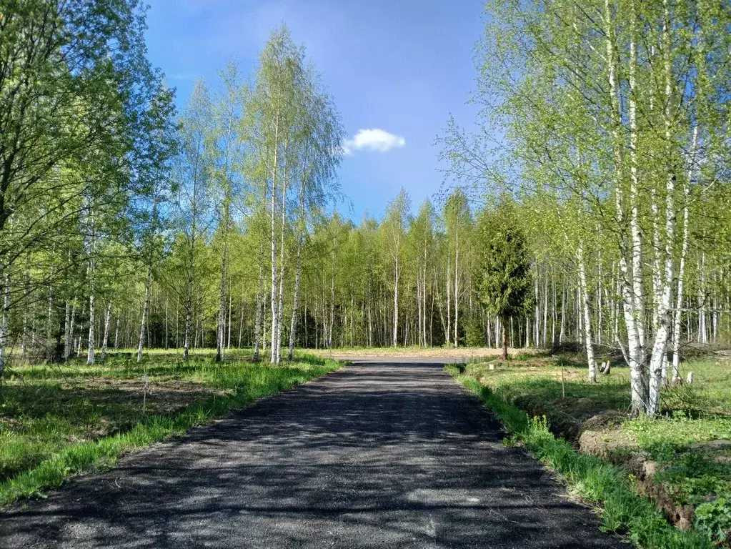 Участок в Московская область, Сергиево-Посадский городской округ, д. ... - Фото 0