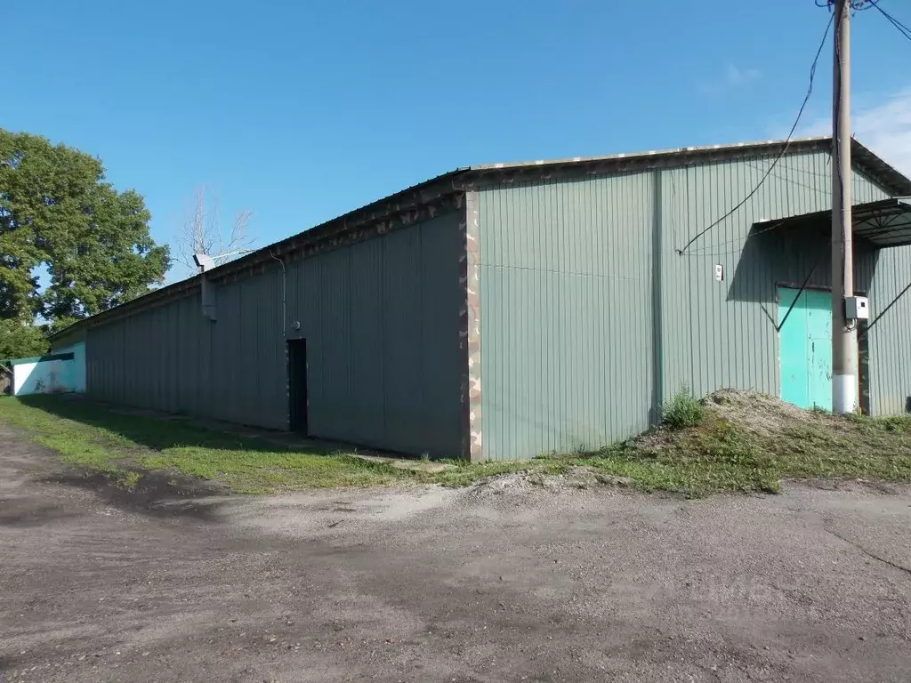 Склад в Амурская область, Белогорск ул. Маяковского, 40 (656 м) - Фото 1
