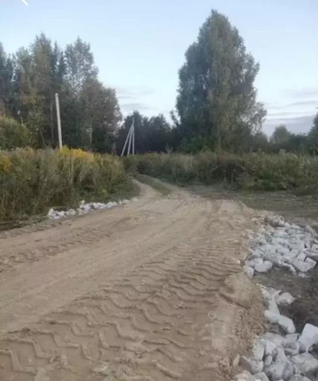 Участок в Нижегородская область, Лысковский район, с. Окинино  (12.0 ... - Фото 1