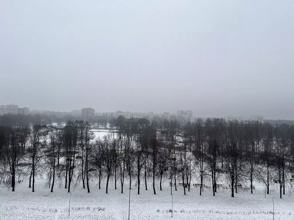 3-к кв. Санкт-Петербург просп. Луначарского, 82К1 (57.0 м) - Фото 2