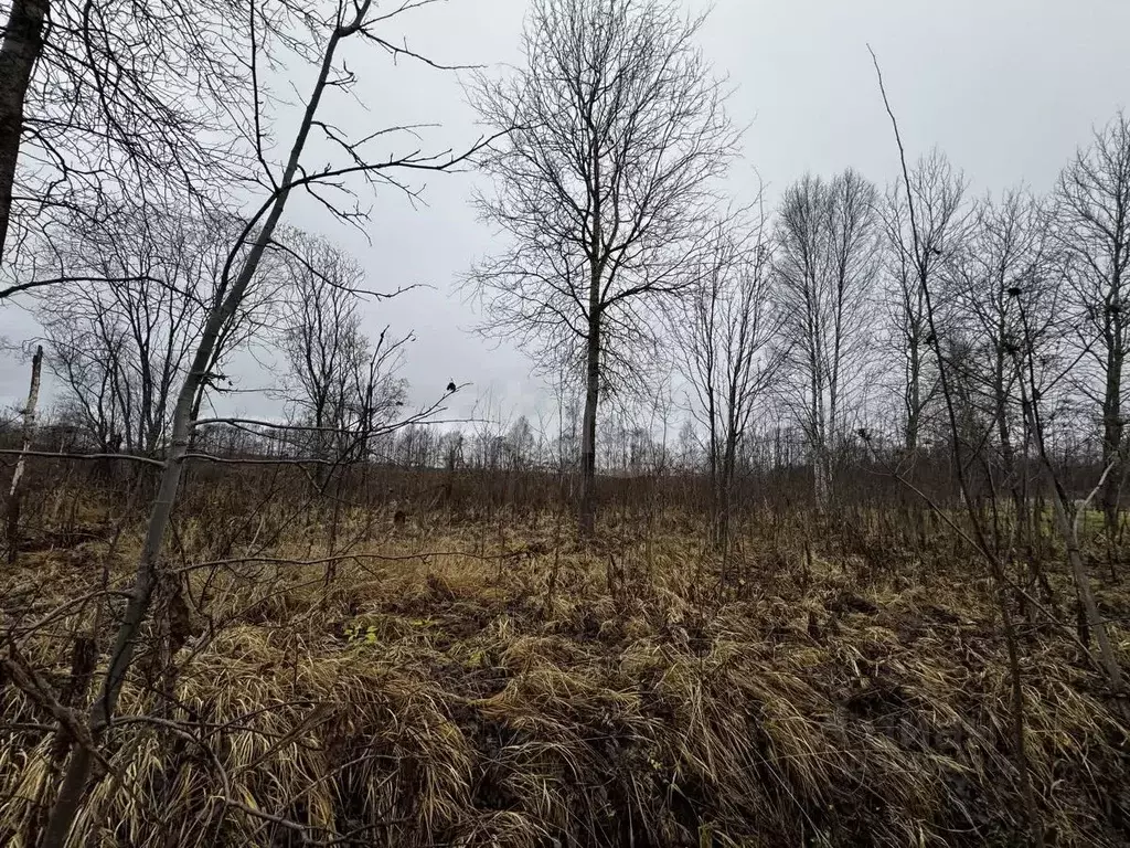 Участок в Тверская область, Калининский муниципальный округ, с. ... - Фото 2