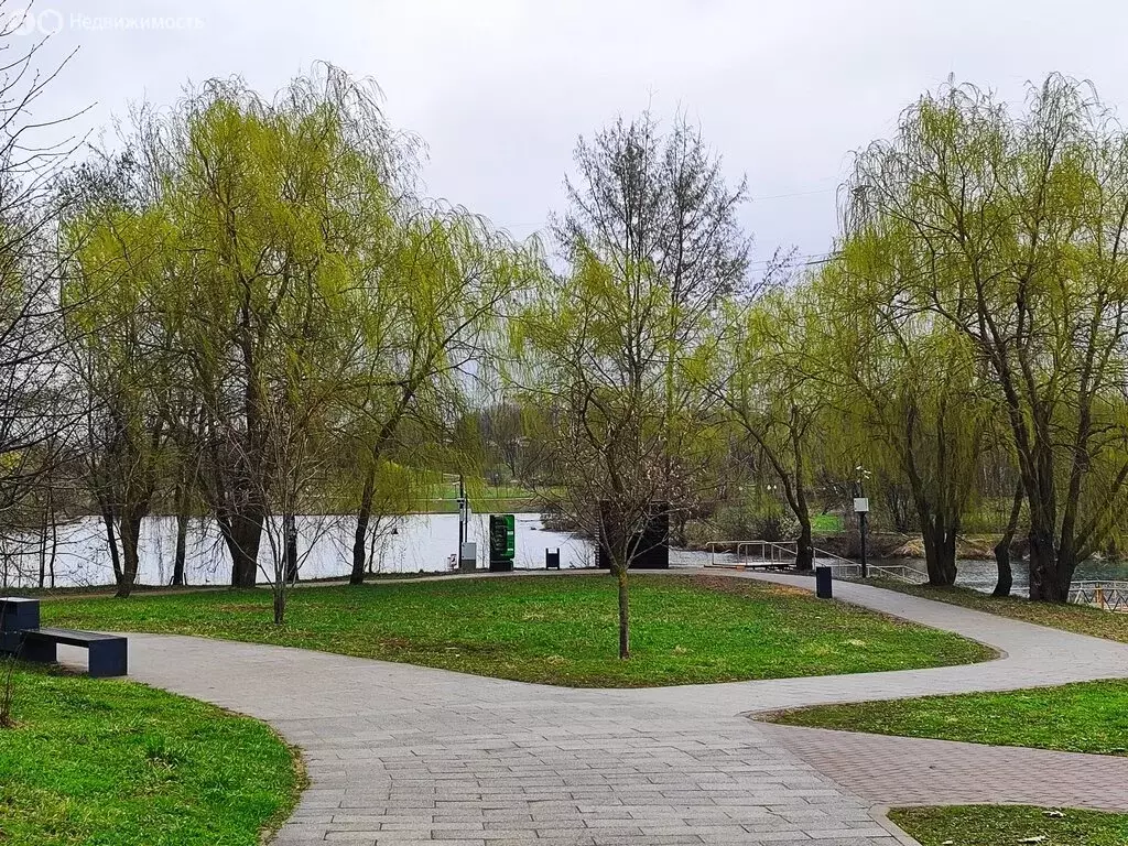 Квартира-студия: Москва, Дубравная улица, 41к2 (20.3 м) - Фото 1