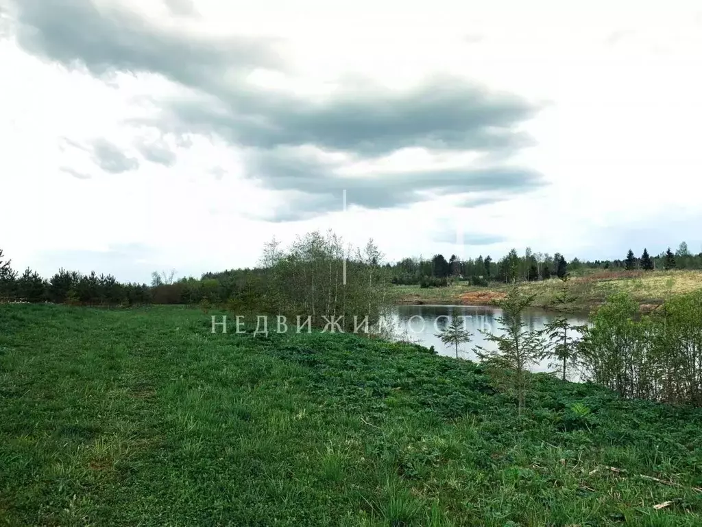 Участок в Ленинградская область, Тосненское городское поселение, д. ... - Фото 2