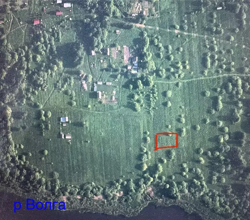 Участок в Ярославская область, Угличский муниципальный округ, ... - Фото 1