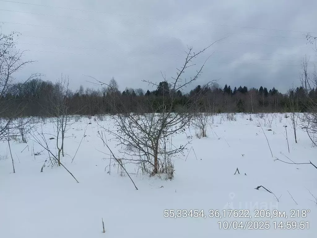 Участок в Московская область, Верея Наро-Фоминский городской округ,  ... - Фото 0