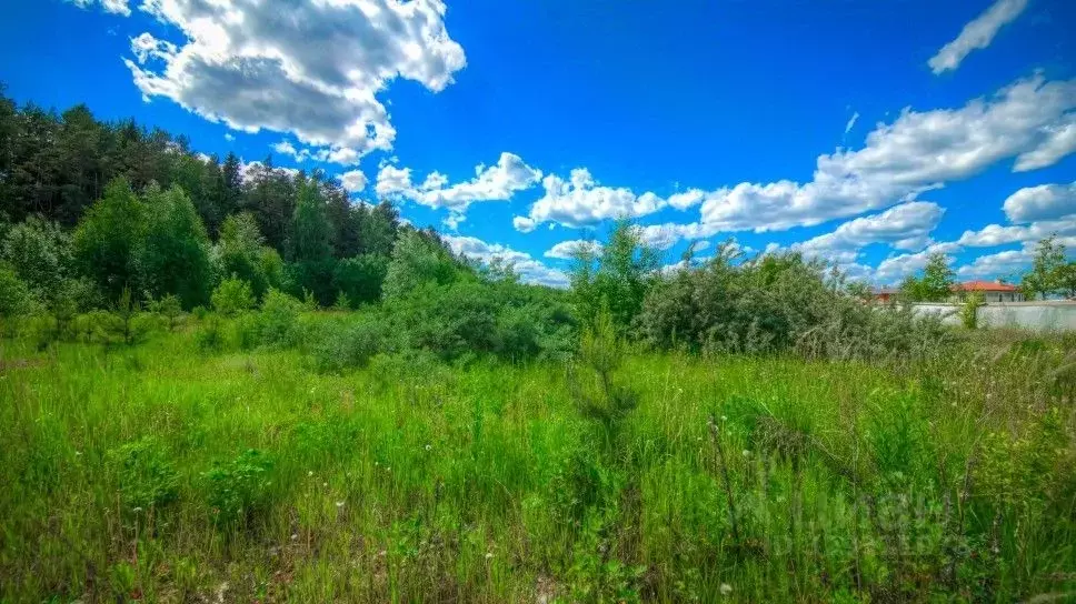 Участок в Московская область, Одинцовский городской округ, д. ... - Фото 1