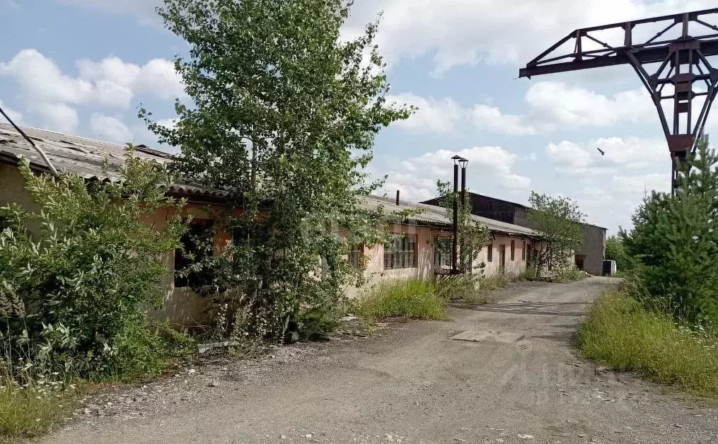 Производственное помещение в Свердловская область, Горноуральский ... - Фото 0