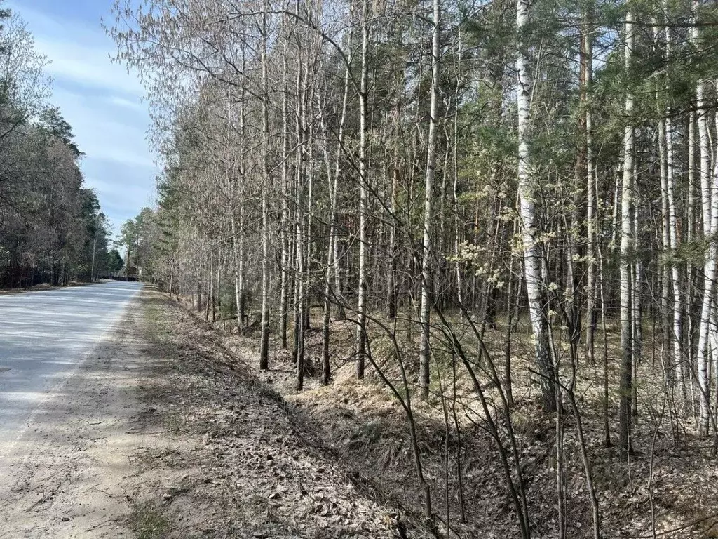 Участок в Тюменская область, Нижнетавдинский район, Геолог-2 СНТ  ... - Фото 1