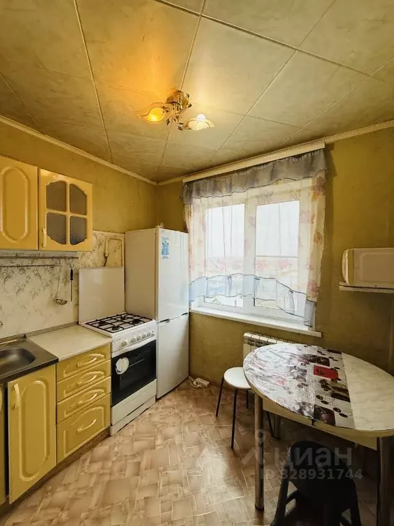 1-к кв. Самарская область, Тольятти ул. Победы, 15 (30.4 м) - Фото 1