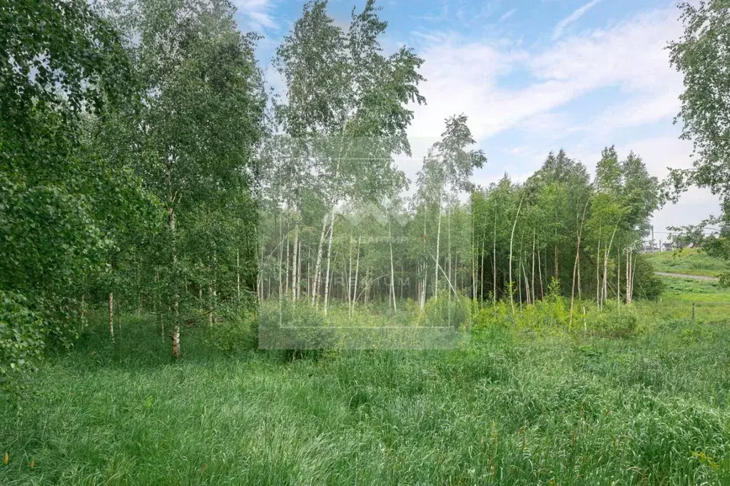 Участок в Ленинградская область, Всеволожский район, Колтушское ... - Фото 1