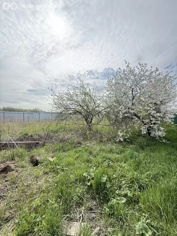 Участок в село Шелокша, Берёзовая улица (12.5 м) - Фото 1
