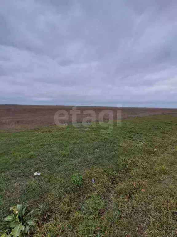 Участок в Крым, Сакский район, с. Штормовое ул. Ленина (6.02 сот.) - Фото 0